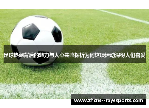 足球热潮背后的魅力与人心共鸣探析为何这项运动深得人们喜爱