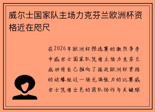 威尔士国家队主场力克芬兰欧洲杯资格近在咫尺 威尔士国家队主场力克芬兰欧洲杯资格近在咫尺